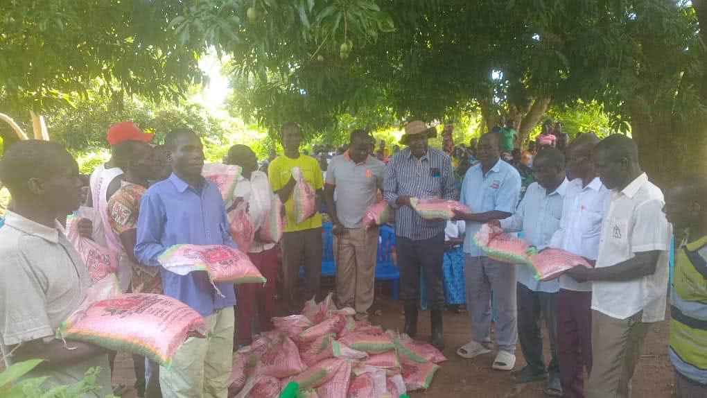 Oyam Woman MP Santa Alum Launches Massive Maize Seed Donation, Urges Farmers to Embrace Commercial Agriculture